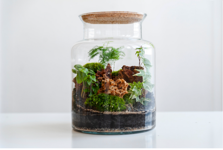 Terrariums