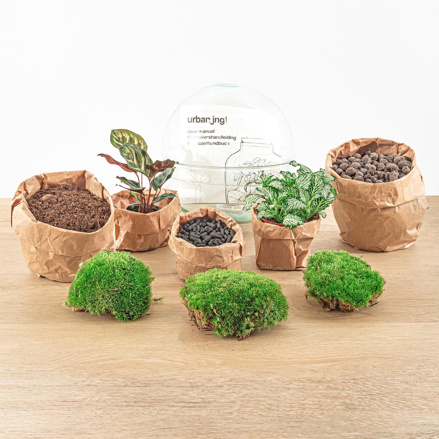 DIY terrarium - Dome - ↕ 20 cm - Normal